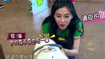 娱乐吃瓜酱笑声视频大全,笑翻天！娱乐吃瓜酱笑声视频大全集锦